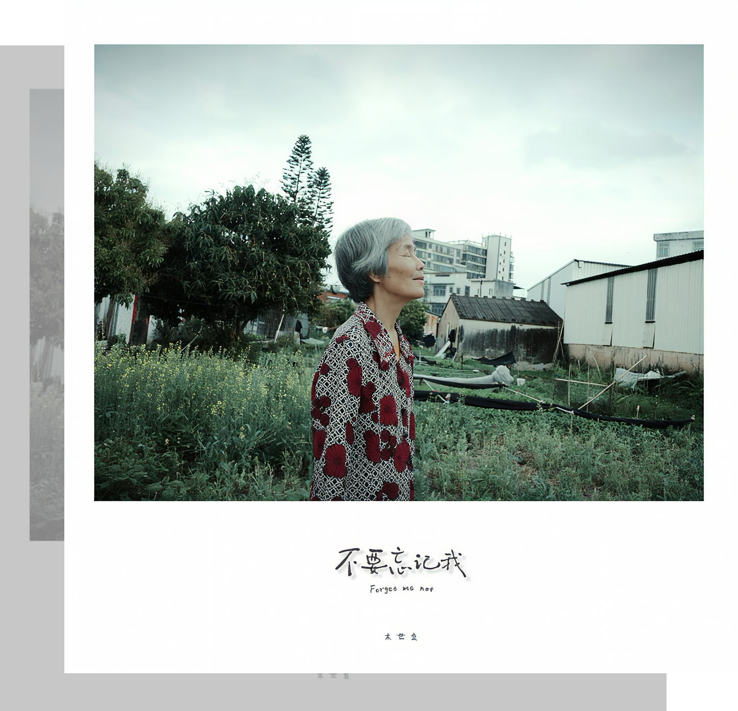 不要忘记我 专辑封面